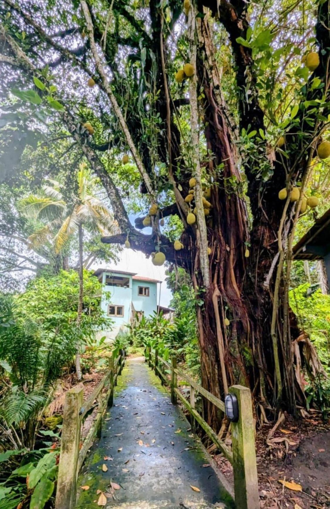 Alecrim Hostel E Pousada Velha Boipeba Buitenkant foto